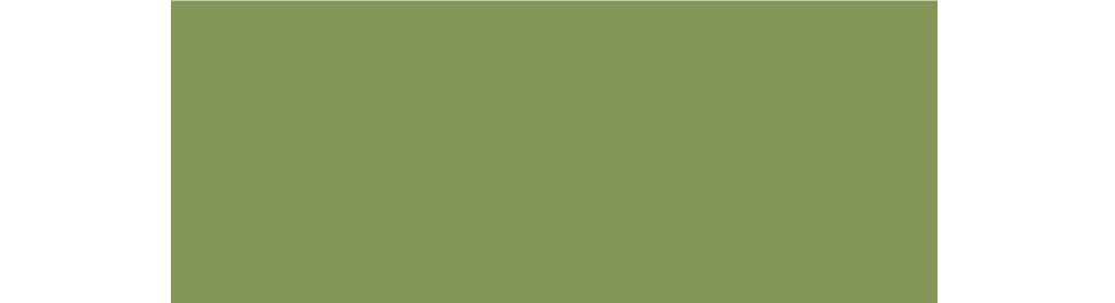 MEADOW GREEN - MILK PAINT - Rove + Dwell